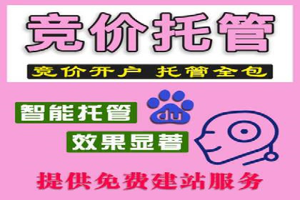 SEM推广公司案例：打造行业领军品牌